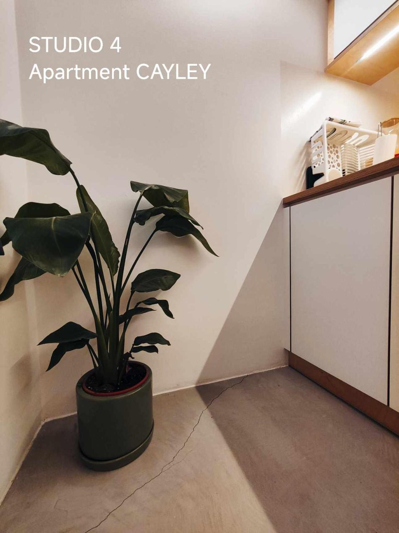 לובליאנה Pekarna Apartments מראה חיצוני תמונה